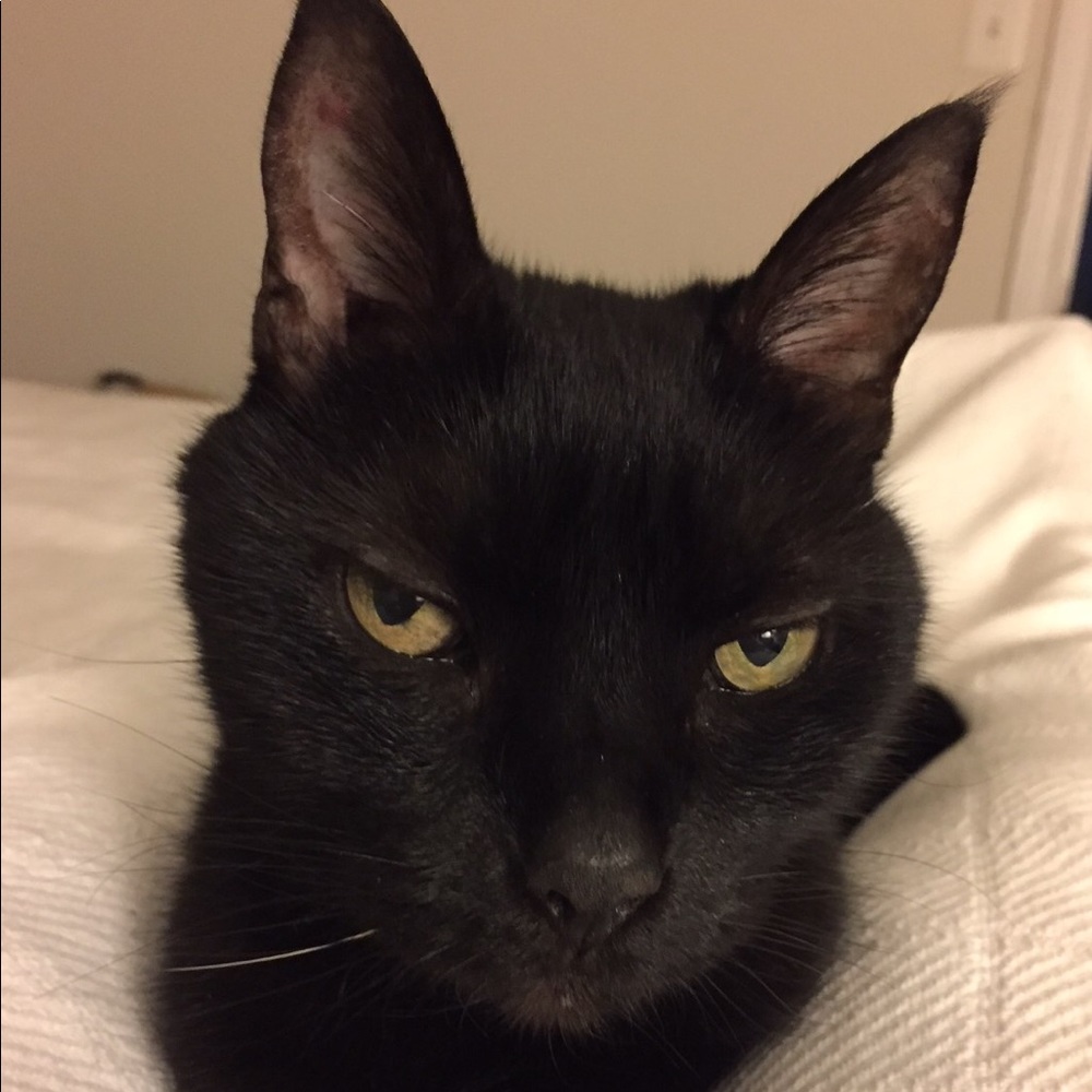 Meet your Posher, Malgorzata